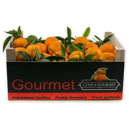 Mandarinas Valencianas de Mesa 8 Kgs