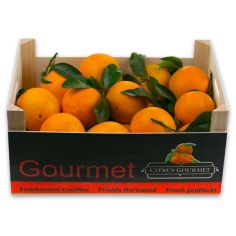 Naranjas Valencianas Gourmet. Mesa 10