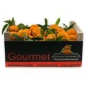 Caja de Mandarinas Valencianas Mesa 10 Kgs