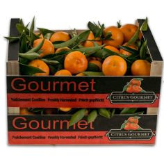 Mandarinas Valencianas Gourmet 20 Kgs