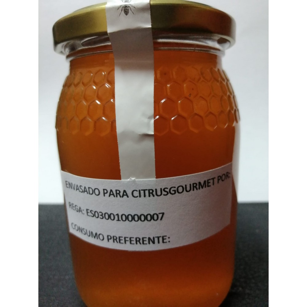 Buy wholesale Tarro Miel de Naranja 500gr