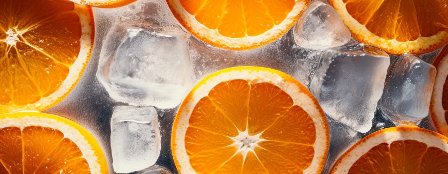 En Busca de las Mejores Naranjas Valencianas: Guía para Comprar Naranjas Premium