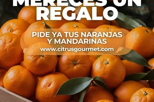 ¡Naranjas y mandarinas: el regalo más dulce de la Navidad!