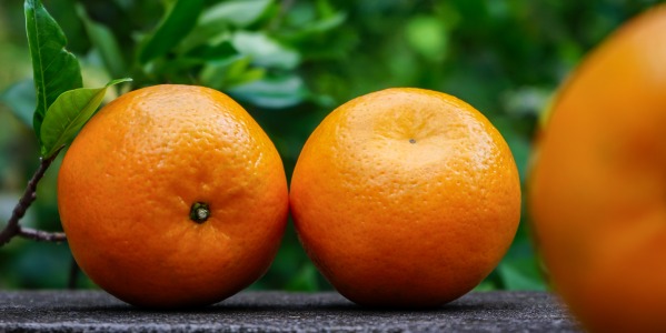 ¿Por qué algunas mandarinas llegan verdes en octubre, pero están dulces por dentro?